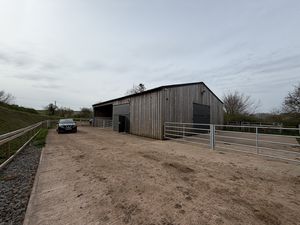 Yard- click for photo gallery